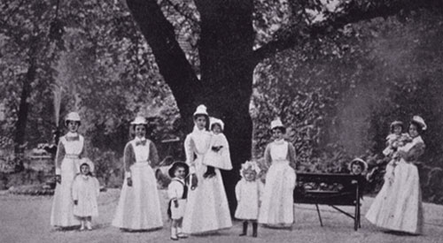 The Hospital Plane Tree – enjoyed by nurses and children alike